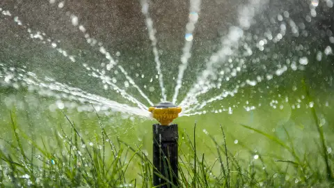 Irrigation by Escapes Outdoor Living in Salisbury, MD